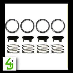 Pumptec Repair Kit B Valves and Viton Seals for 112T and 114T